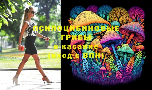 прущая мука Абаза