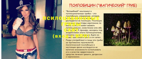индика Алексеевка