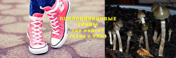 прущая мука Абаза