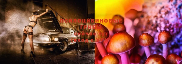 кокс Абдулино
